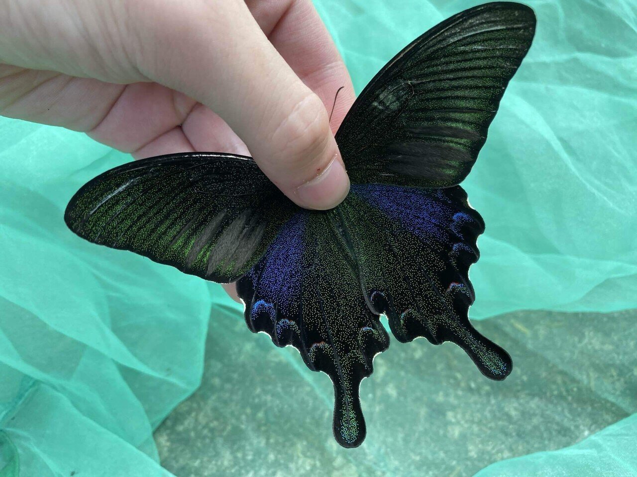 西表島遠征2023 2日目｜Nari