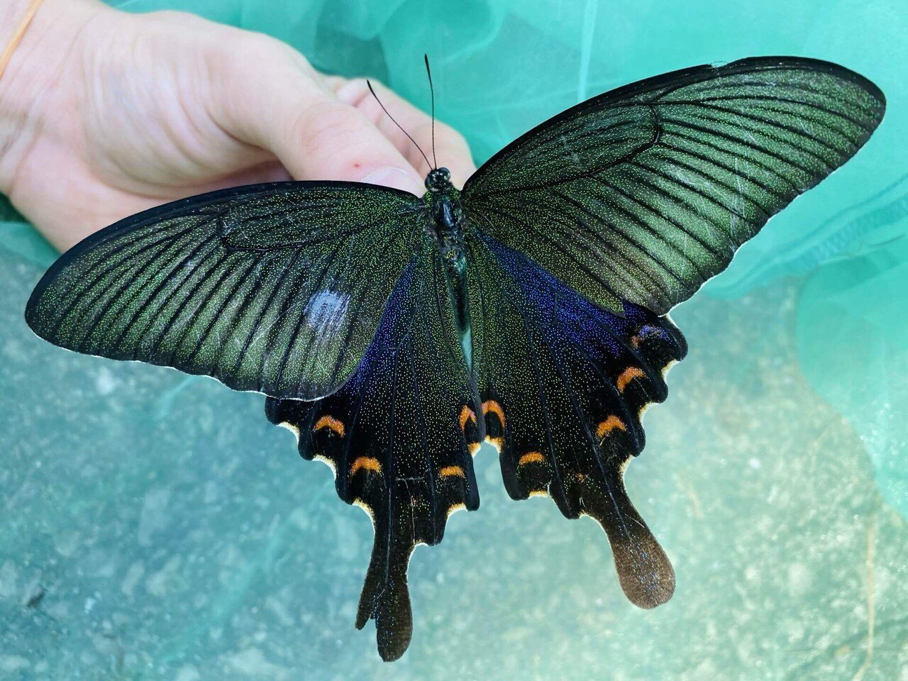 西表島遠征2023 2日目｜Nari