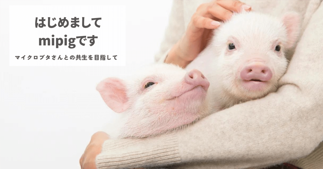 飼育放棄ゼロを目指して。誕生から成長までをサポートする、mipigの ...