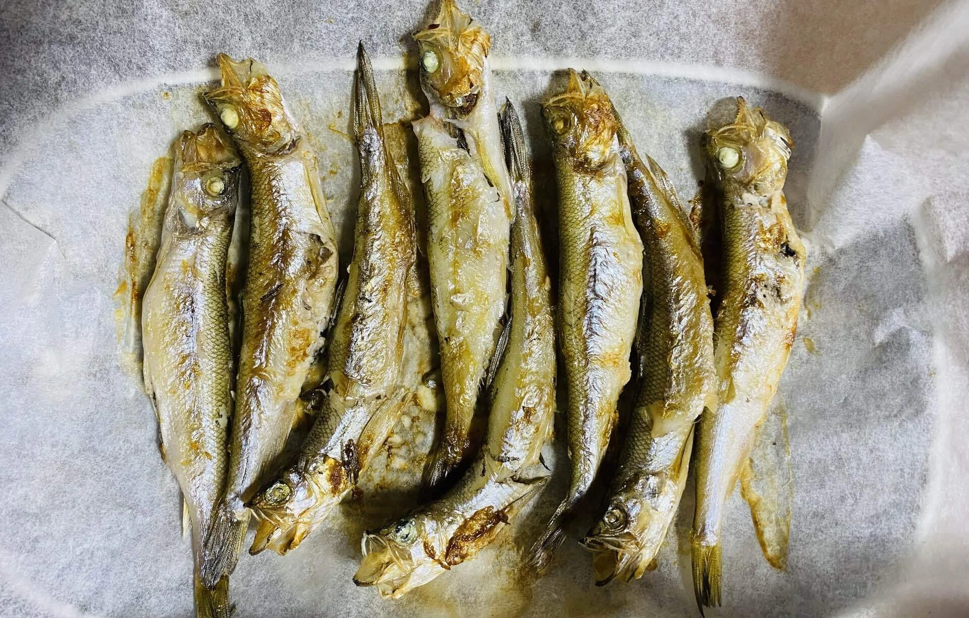 ししゃも上手に焼けた記念 柳葉魚 柳の葉っぱの魚って書くの可愛すぎ