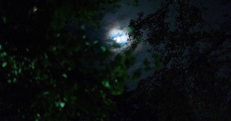 金曜日の夜が好き なかたなか 育児 働き方 カフェ 節約 Note 金曜日の夜が好き なかたなか 育児 働き方 カフェ 節約 Note