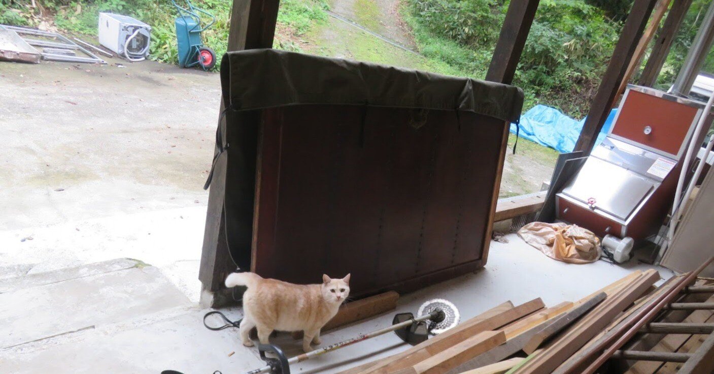 古民家リノベ㉟】悲願？念願？執念？薪ボイラー導入｜ふくよかなネコたち