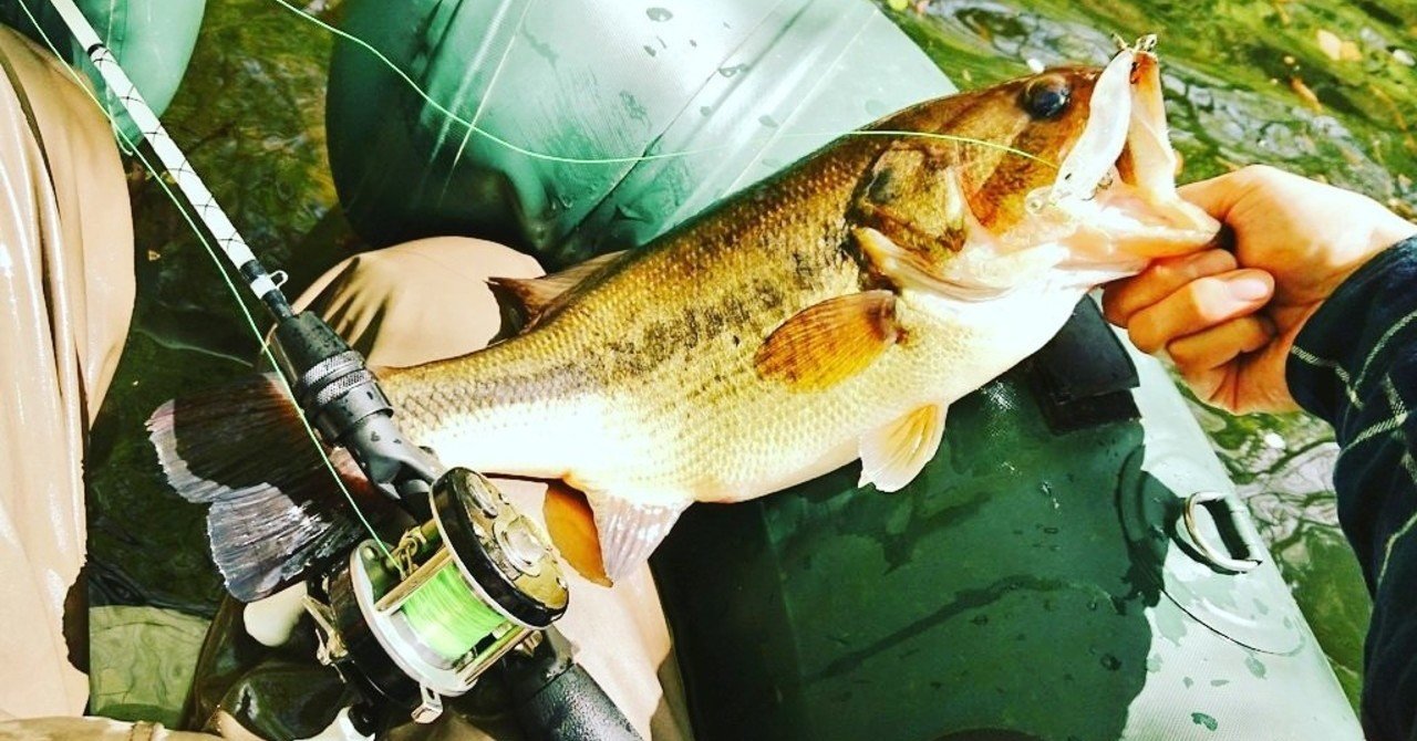 外来魚とか在来魚とか Sima Note