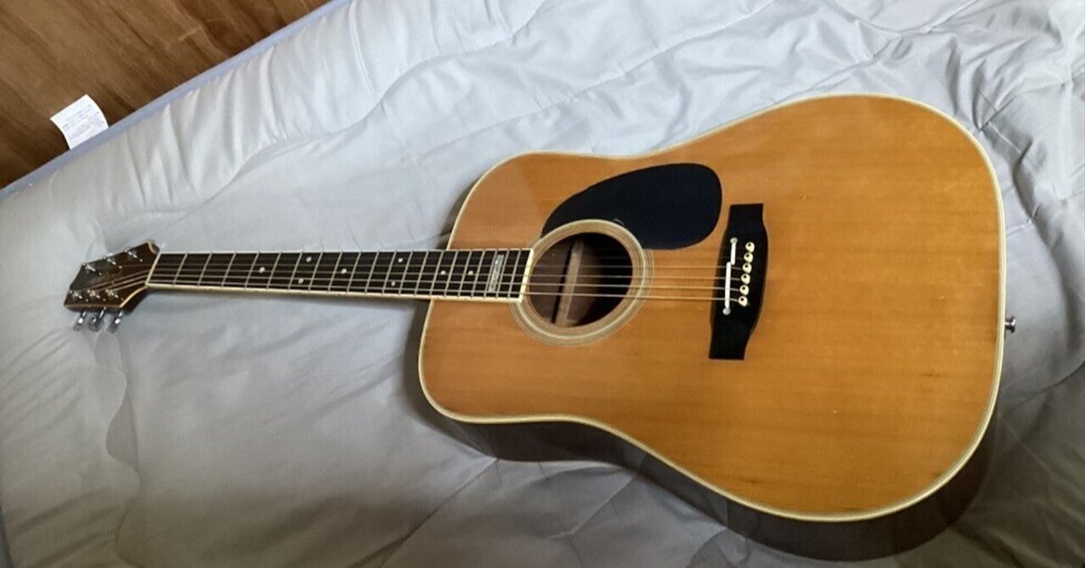 機材紹介】名前のないギター｜まる（を）