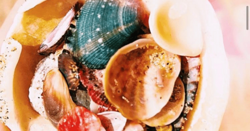 貝殻にきれいな色の石集め「ほら見てよ、地球の瞬き。」