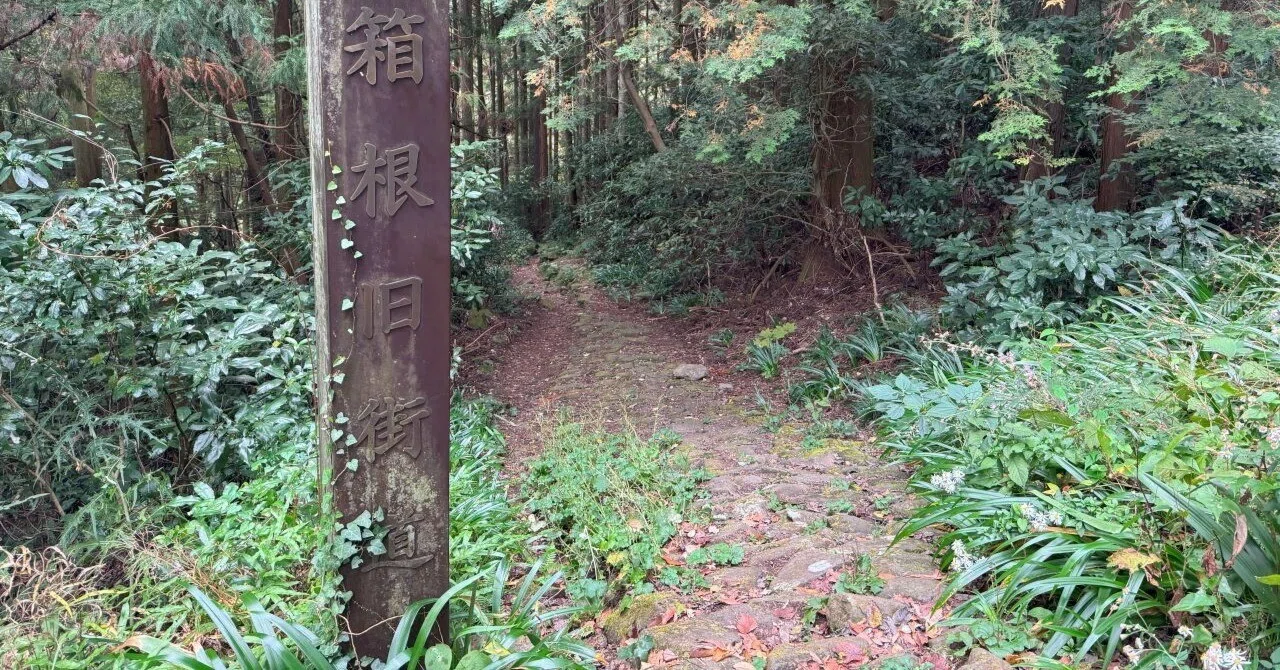 旧東海道を走る その3 箱根越え｜dash2