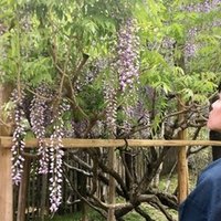 花緑青の御話 四方空亡 Note 花緑青の御話 四方空亡 Note