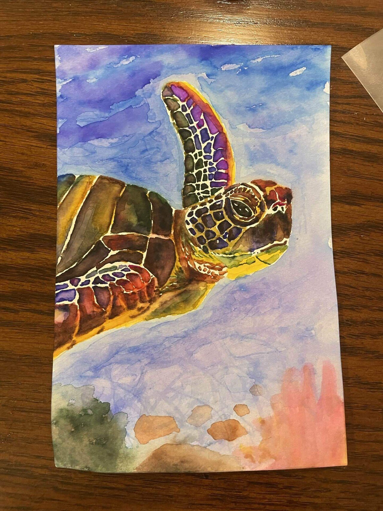 最近描いた絵の紹介【動物シリーズ②】｜もりあゆこ