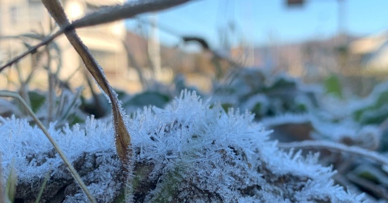 「写真１枚解説」その１「霜の朝」