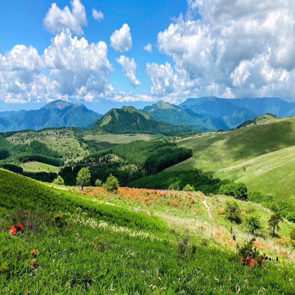 原　良次　リトグラフ　「山の湖」 園山幹生 リトグラフ 「鰐淵寺の紅葉」【37_1-007】 | 島根県