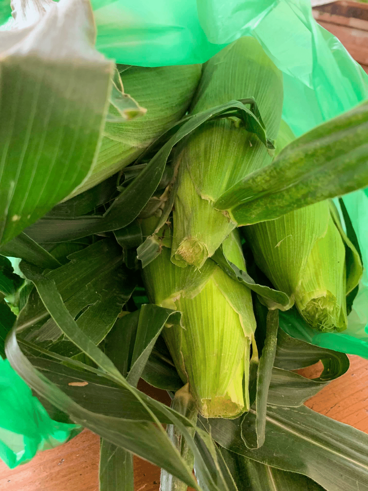 とうもろこしの加熱方法はどれが最適なのか問題を実験 白瀬まゆ美 Note とうもろこしの加熱方法はどれが最適なのか問題を実験 白瀬まゆ美 Note