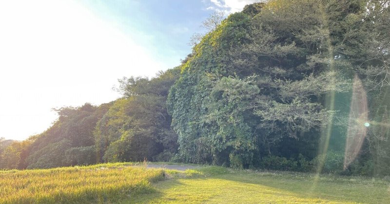 『宇宙とつながる初級クラスin 大阪』募集を開始いたします。