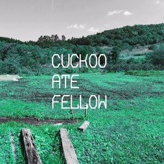 CUCKOO ATE FELLOW_demo