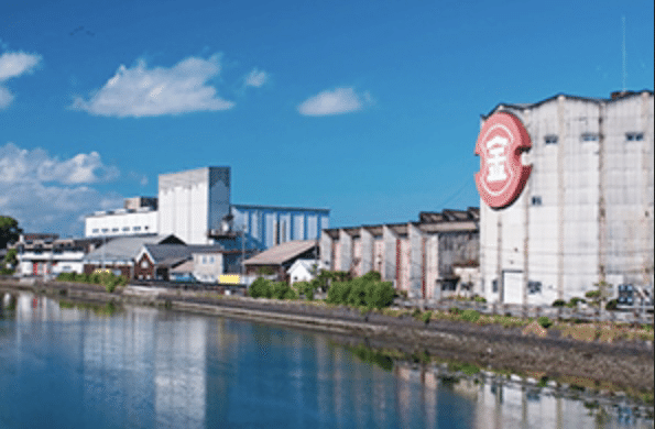 野上弥生子その後①｜みゃおん