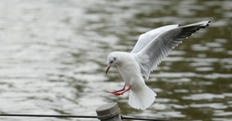 446344fdf46f8ca6dae20435684f59