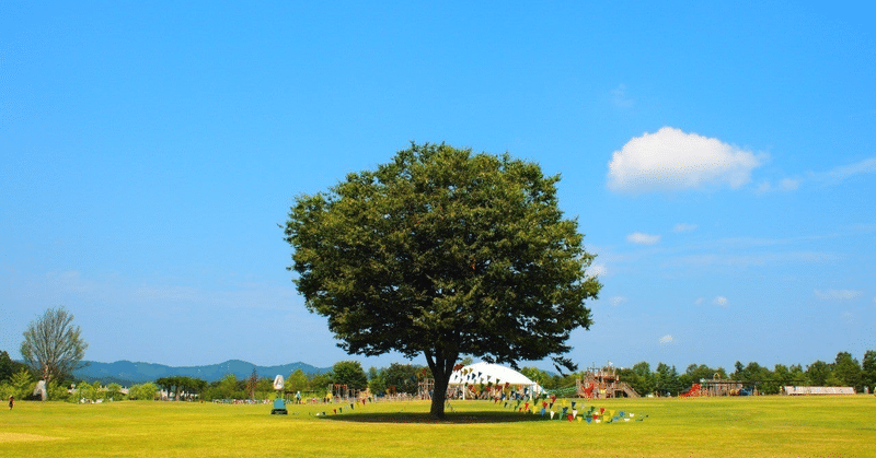 「芽・幹・葉・花」で言葉を届ける