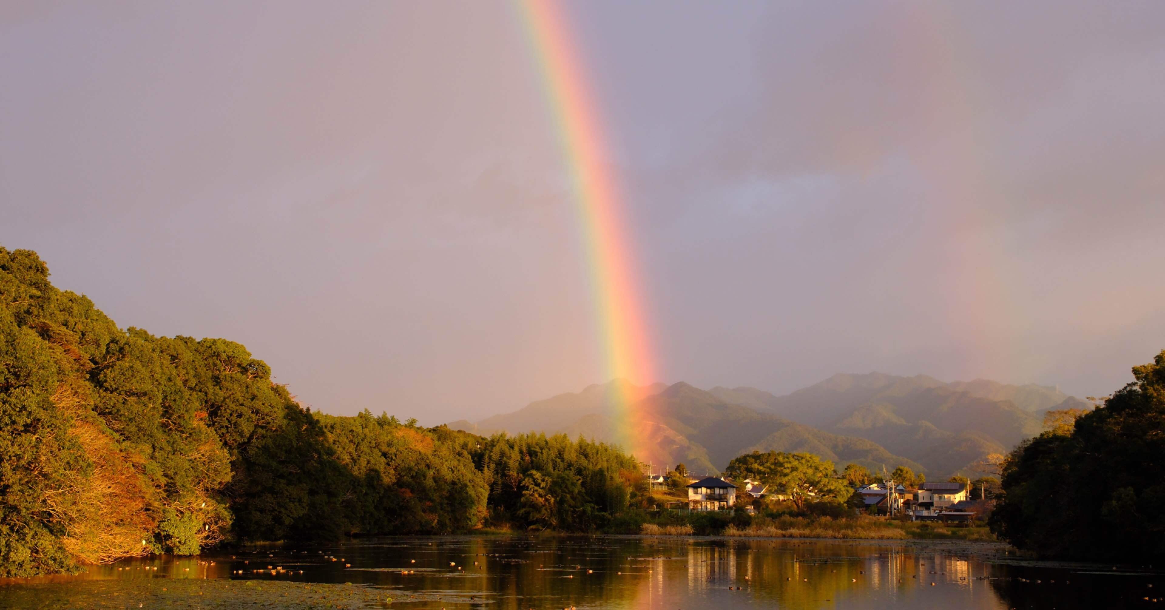 730eb02dba98dc2d77727e26bdbb25