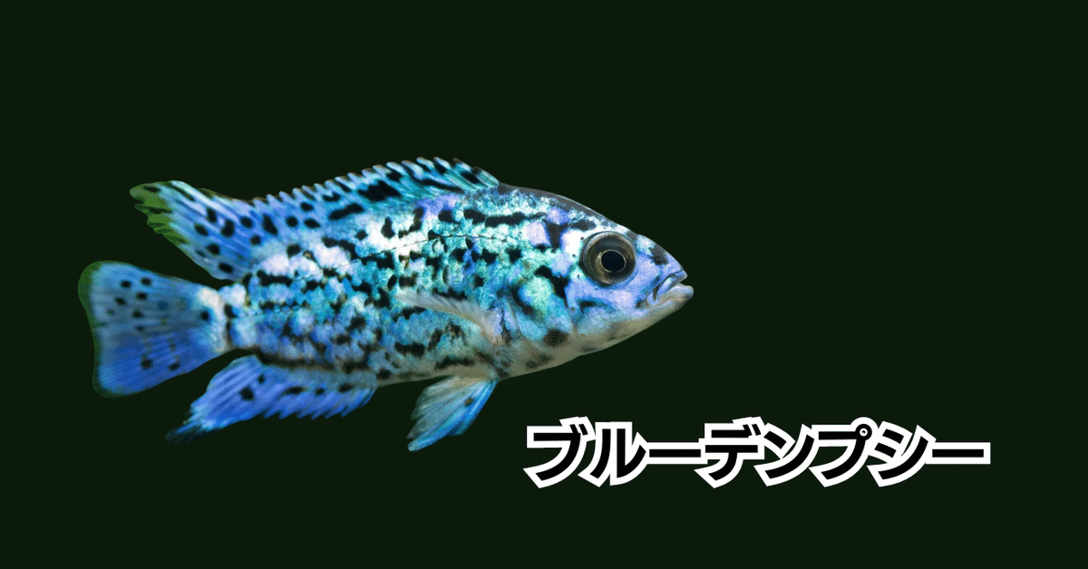 ブルーデンプシーのメモ｜MASUKO