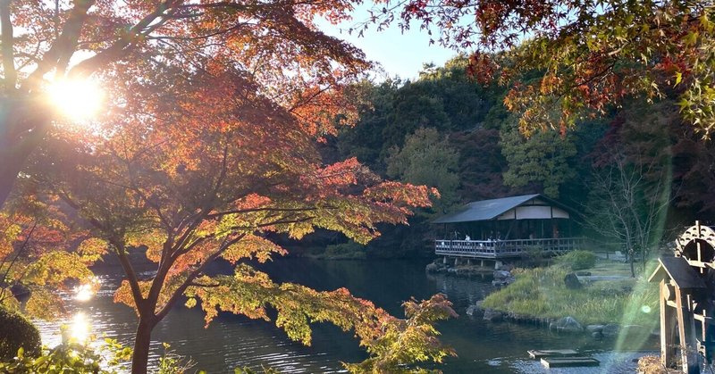 秋晴れの日曜日。お出かけついでに見た紅葉に癒された🍁