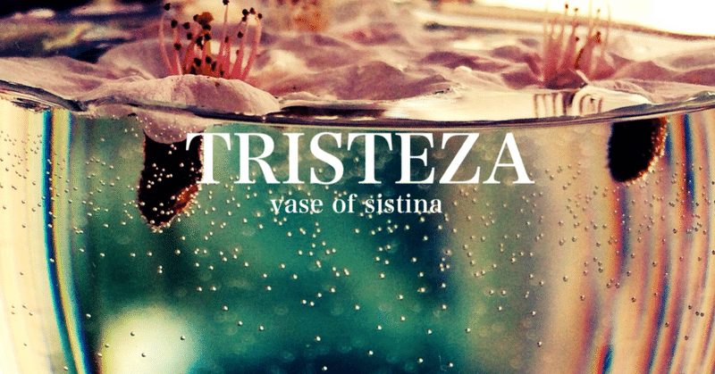 【ピアノ】vase of sistina