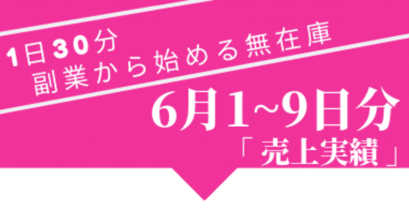 日次用_無在庫販売_1日30分