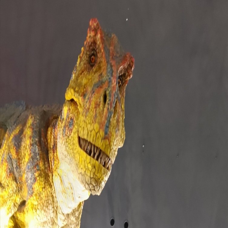 恐竜スタンバイO.Kです！ | 福井縄文旅｜のんてり