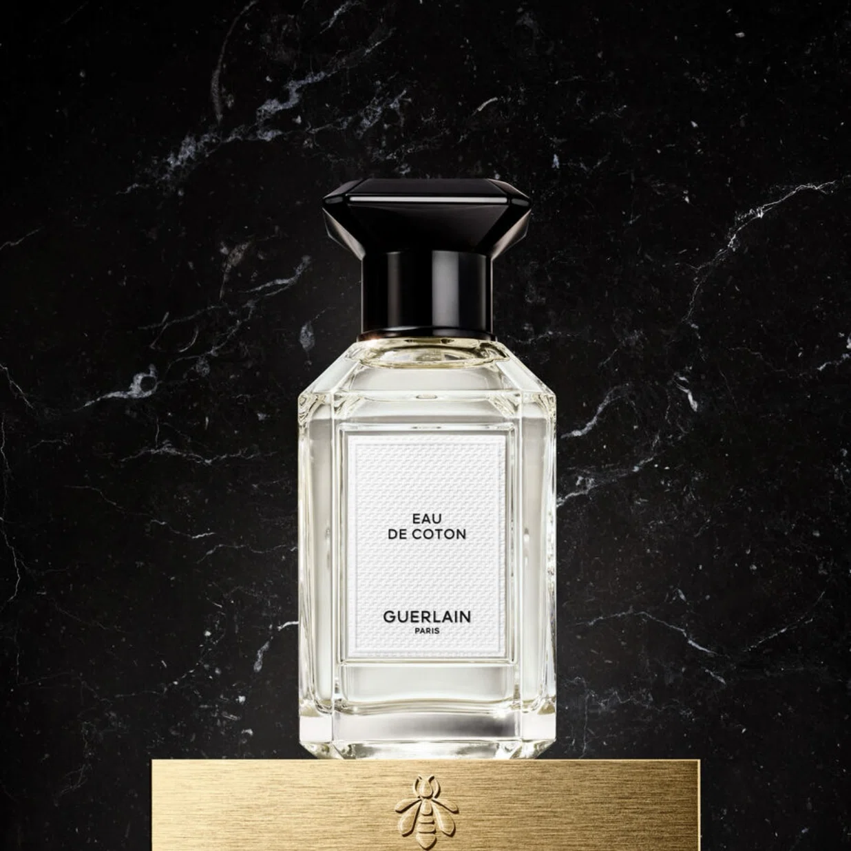 GUERLAIN レマティエール コンフィダンシエル コレクション ｜𝕃