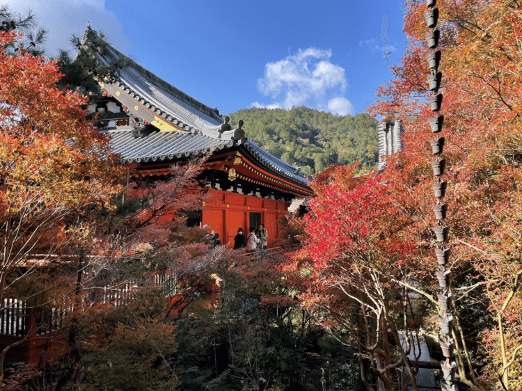 京都は紅葉を見に来る人で、大混雑。毘沙門堂の紅葉。例年より、赤味が足りない感じがする。
