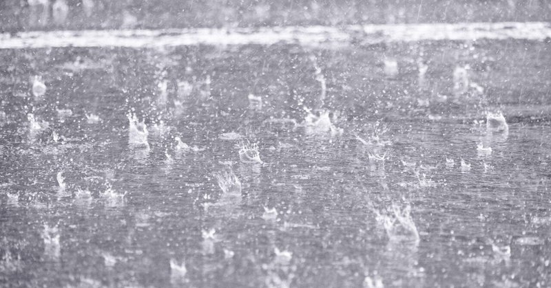 写真１枚解説　その２「雨を撮る」