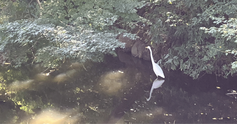 マガジンのカバー画像