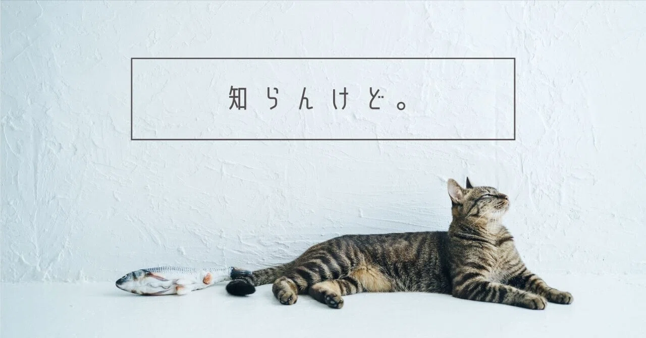 値打ちと、お値打ち。期待と満足について素人なりに考える。｜すがゆき
