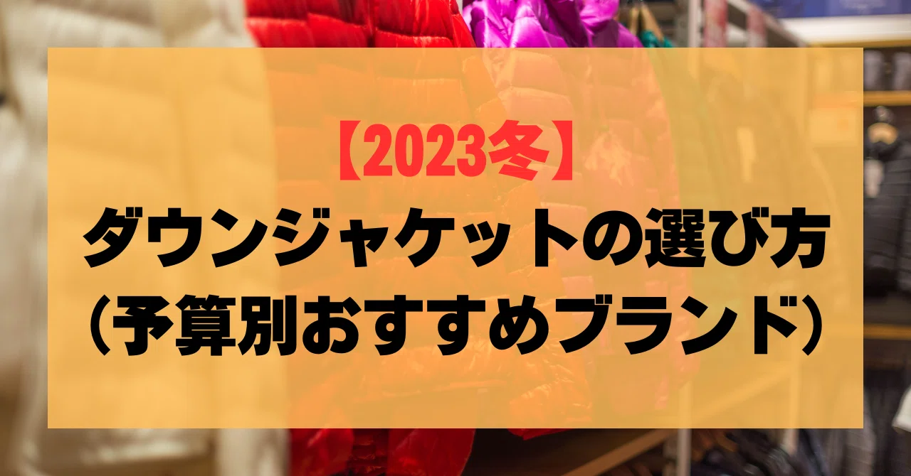 2023冬】ダウンジャケットの選び方（予算別おすすめブランド 