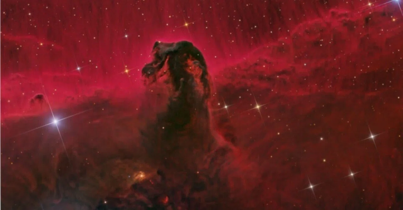 【Astronomy Picture of the Day】The Horsehead Nebula,11.20｜岩澤康一
