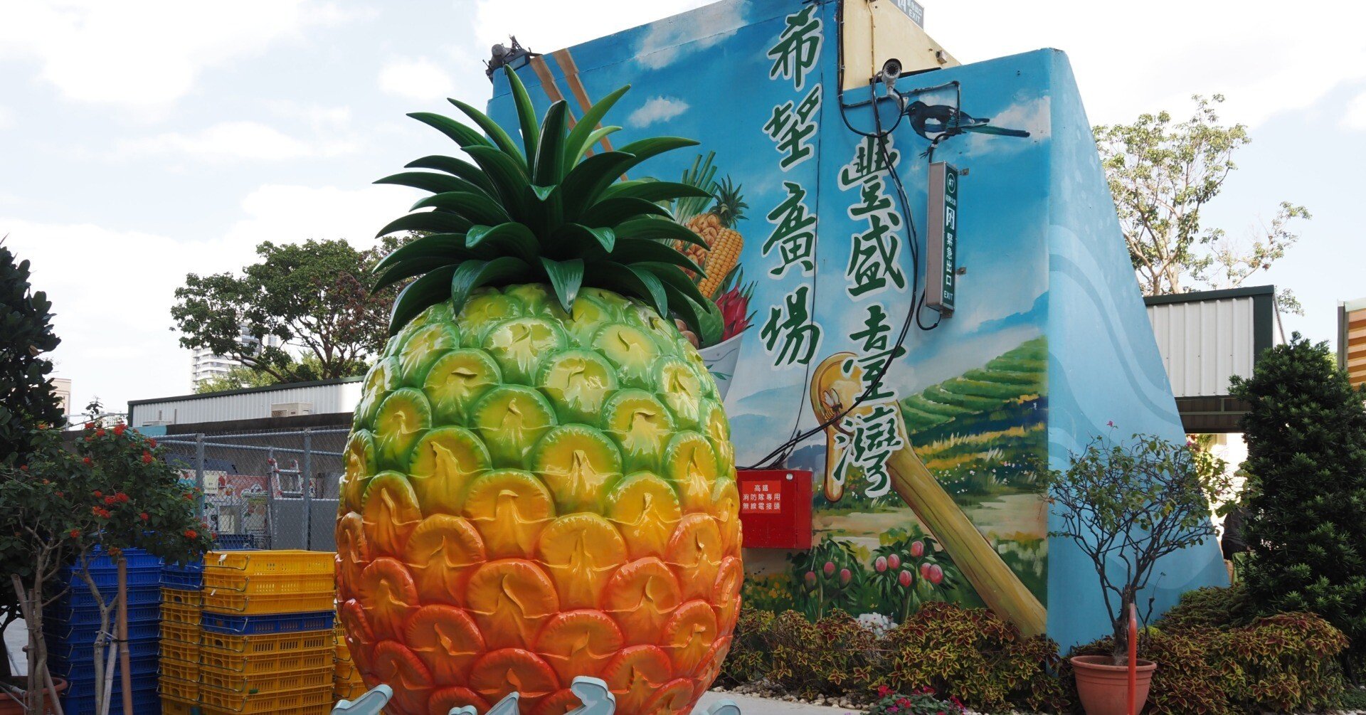 ✈LCCで行く台北0泊弾丸trip＃3|週末だけのファーマーズマーケット