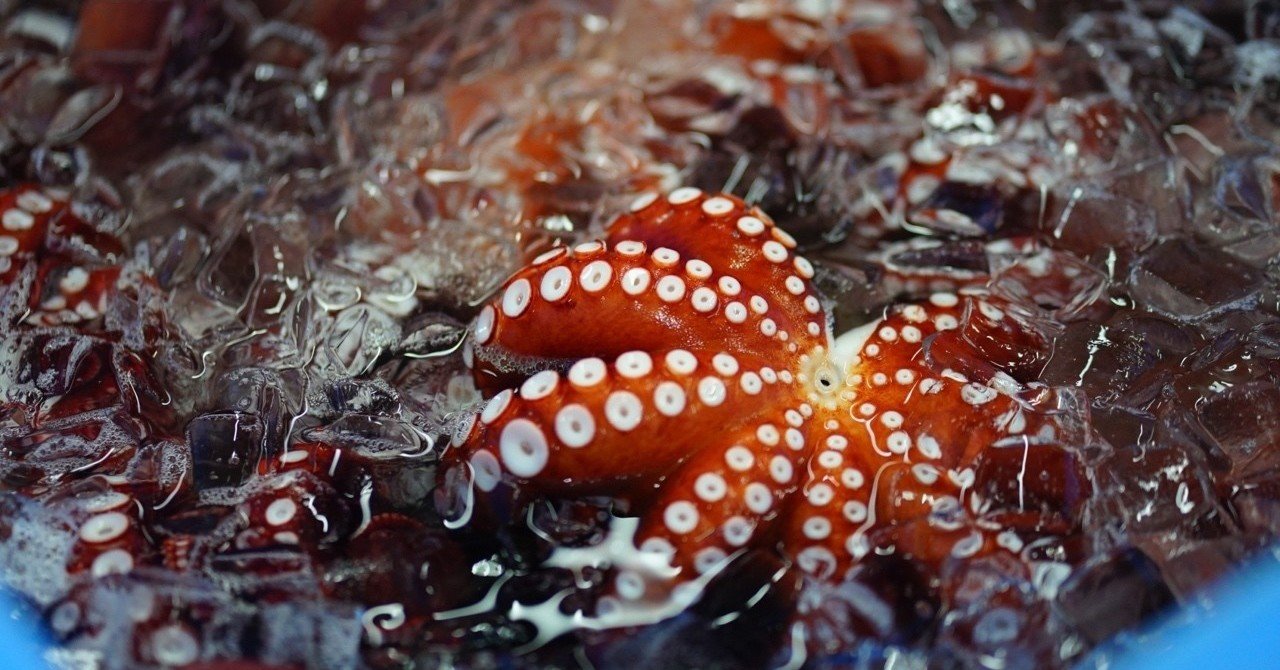 タコの足は何故8本なのか 樟 陽介 Note タコの足は何故8本なのか 樟 陽介 Note