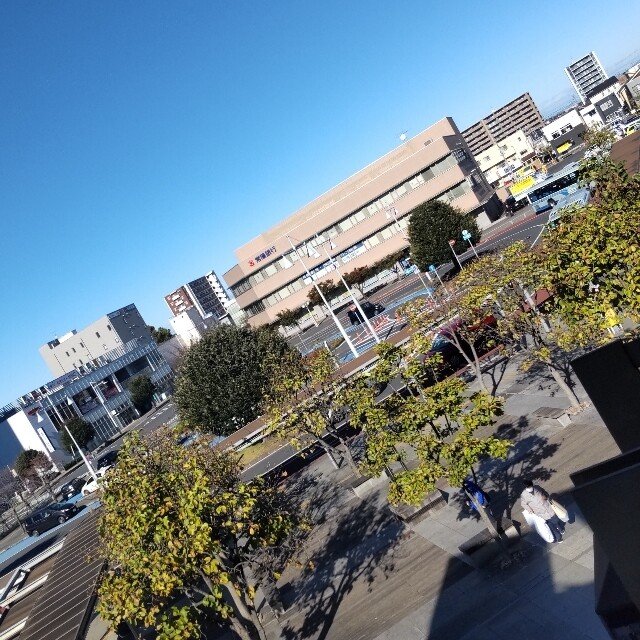 火曜日というよく分からない曜日⑤｜｢しそ｣の人生後記。