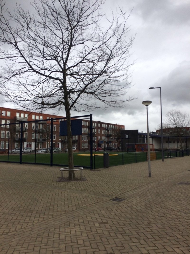 理学療法士の私がオランダ在住の日本人フィジオに会ってきた話 後編 ホクツタクロー 理学療法士 Note