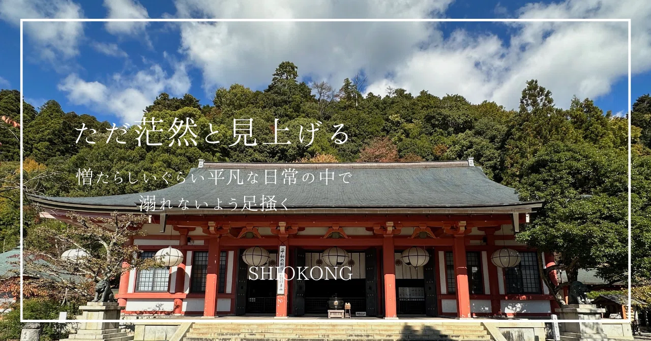 金運爆上げ　京都鞍馬樹齢1000年の御神木が入った　神杉守　特別祈祷　鞍馬寺 Amazon.co.jp: 金運爆上げ 京都鞍馬樹齢1000年の御神木が入った 神杉守