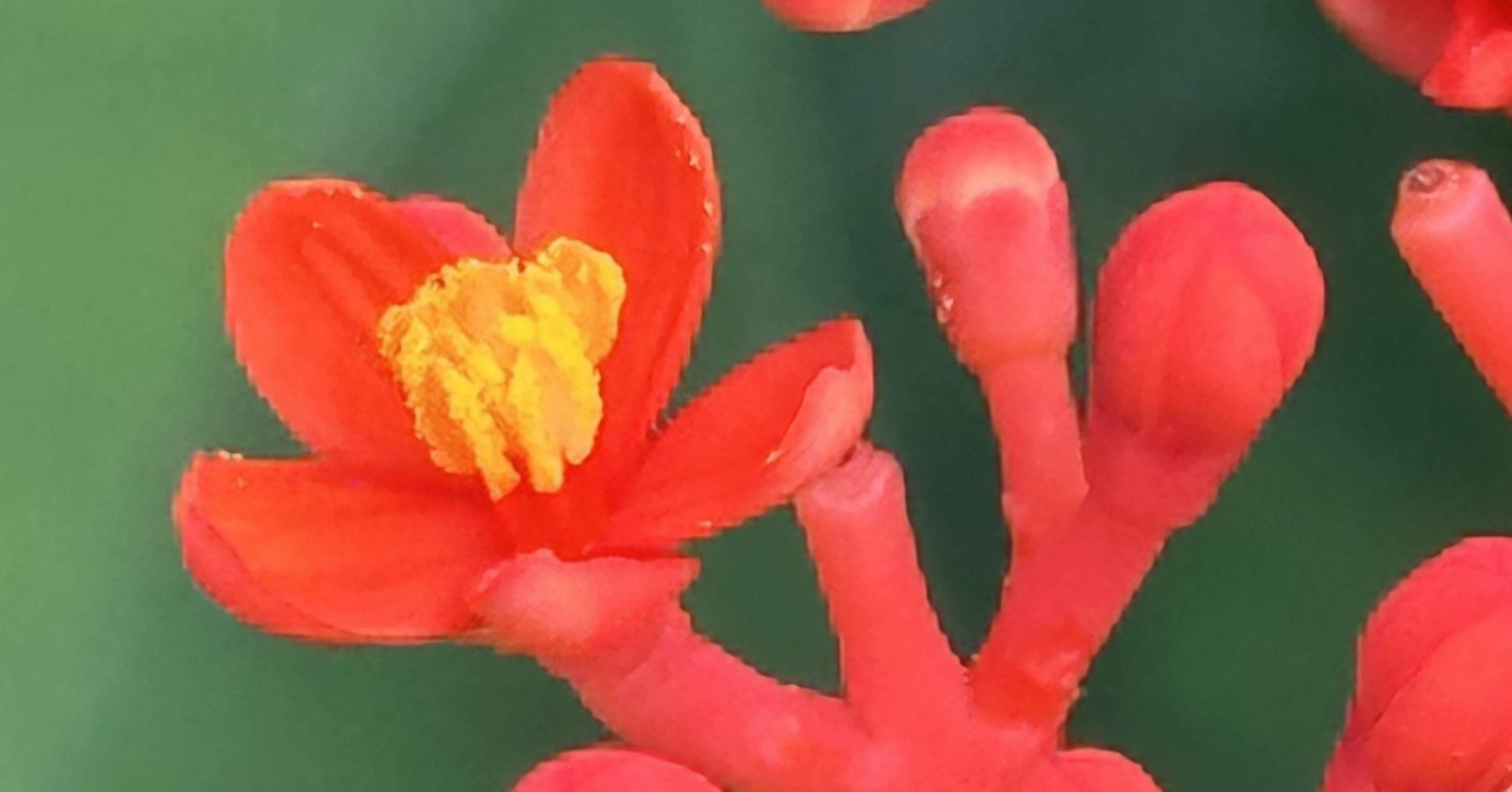 5d9bddf5943f6c6dfd853d4d34f4aa