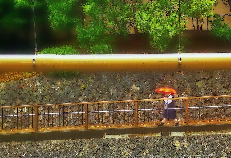 上野公園通り・結構な雨が降っております。上野駅のホームから撮影。