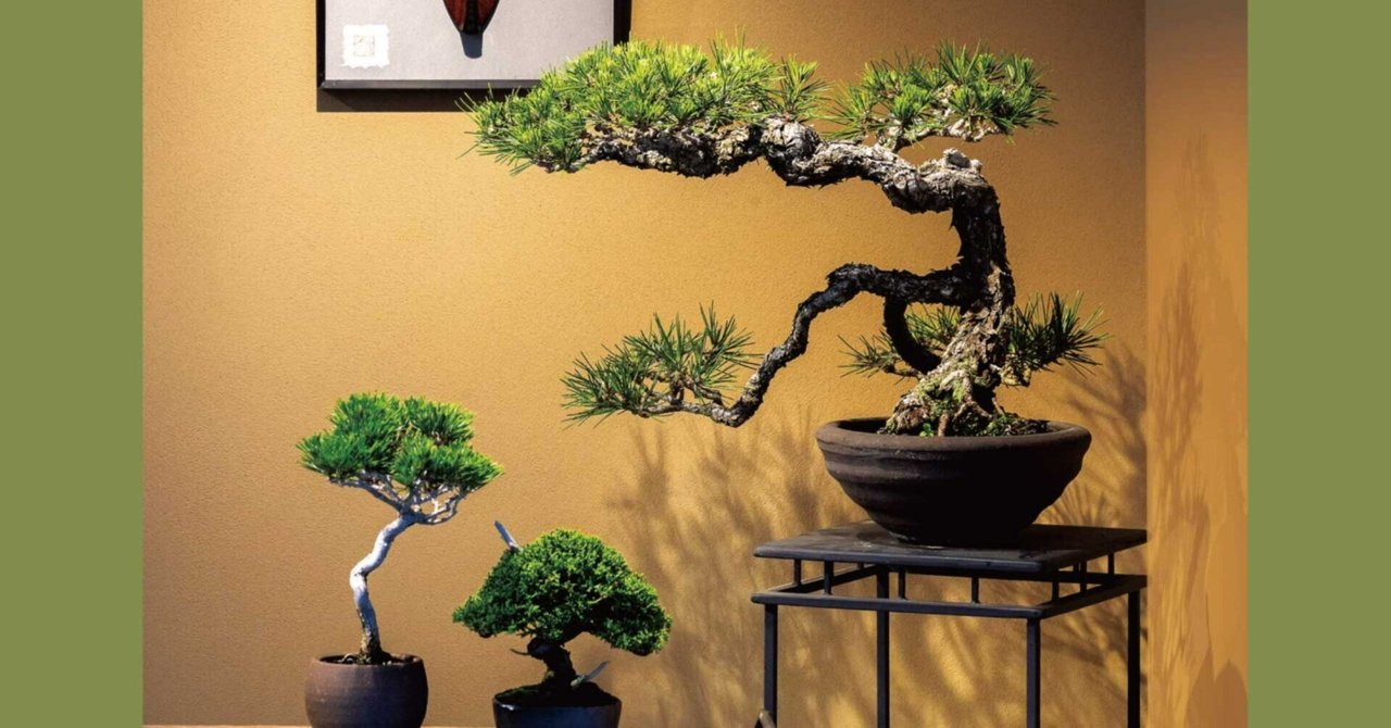 松 盆栽 香川 香川】高松市は松盆栽の全国シェア80%！『高松盆栽の郷