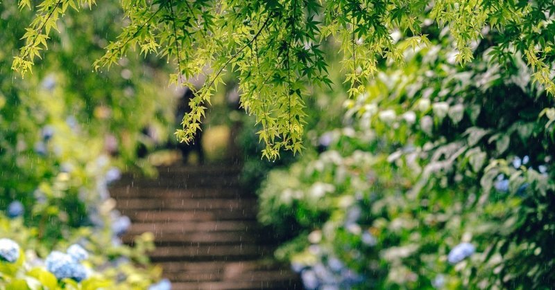 2019/06-2.最近の気になるコンテンツ