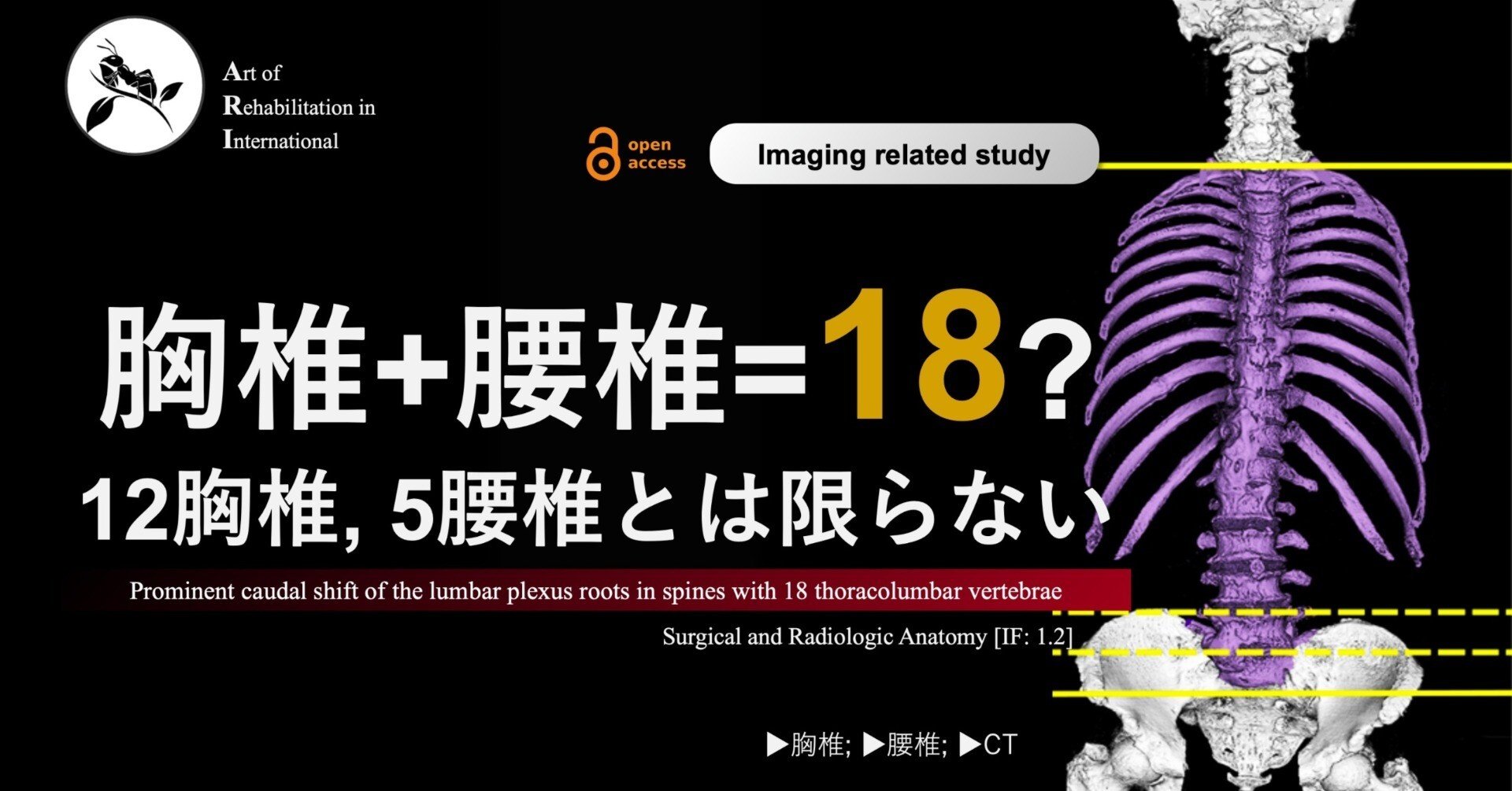 頸胸椎移行部～解剖学的構造の理解と治療戦略～【全1巻】ME299-S Sue Falsone Cervical Thoracic Junction頸胸椎移行部～解剖学的