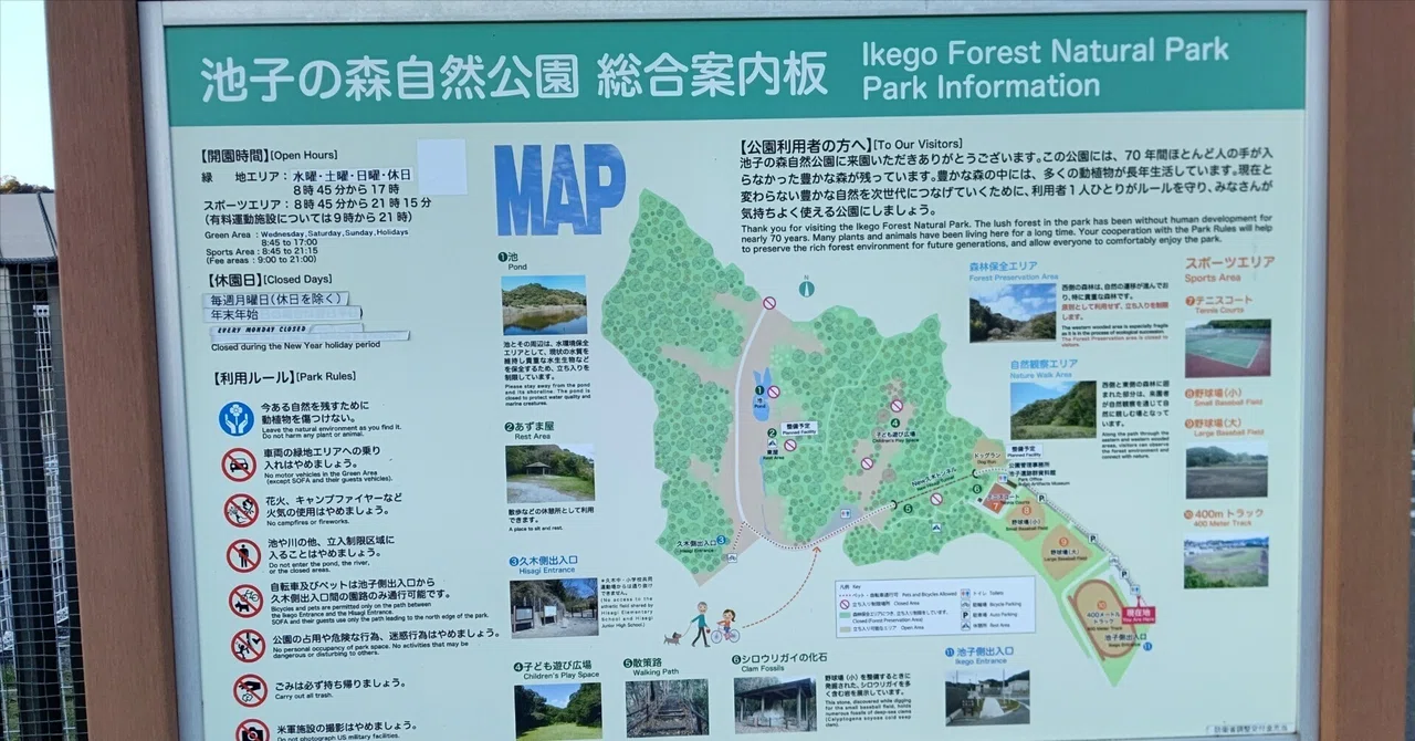 池子の森自然公園(逗子市)|東風