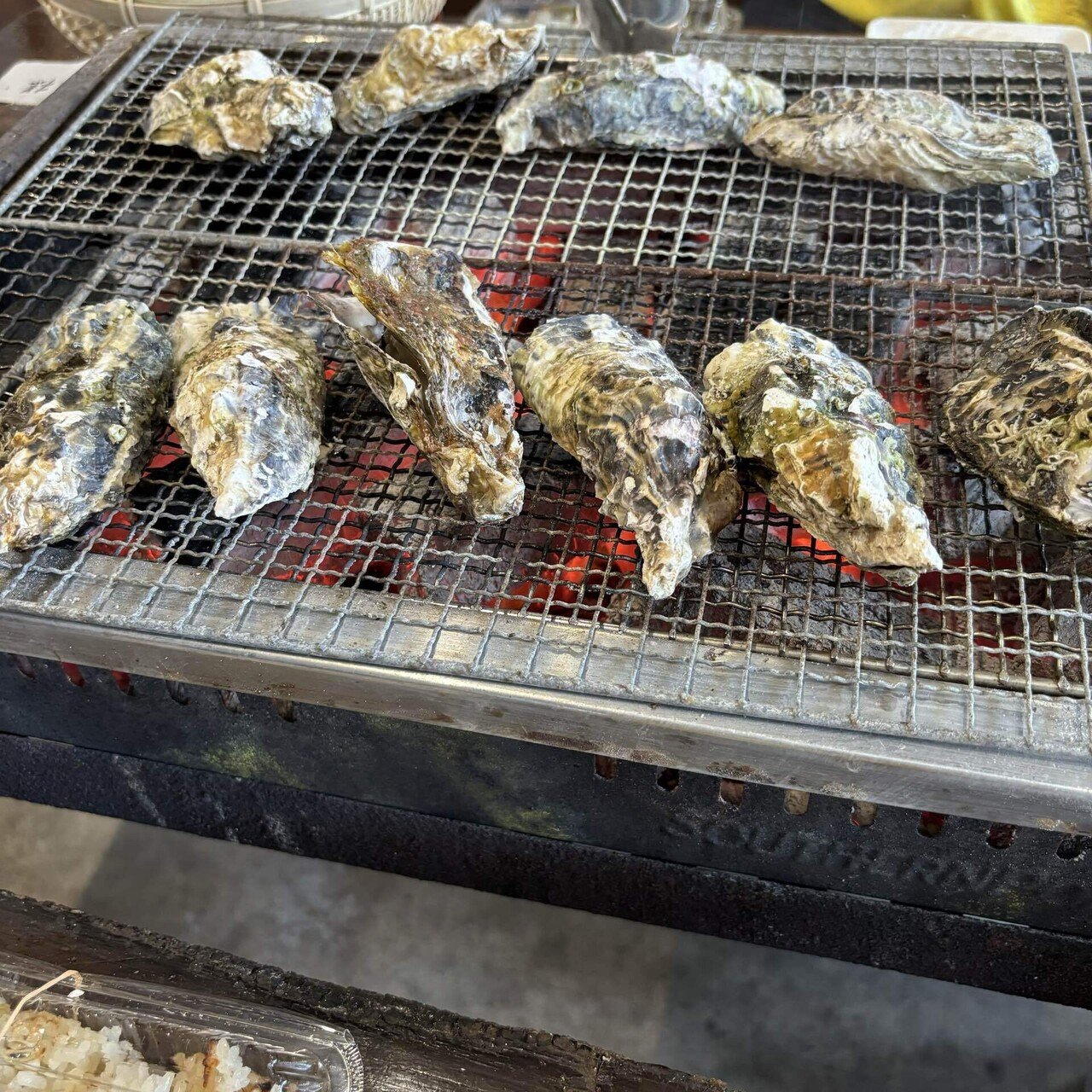 福岡糸島産１０キロ!!! 糸島産 夢つくし 10kg【糸島王丸農園】