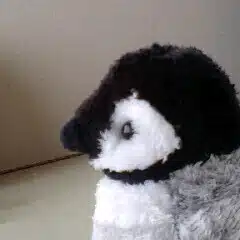 ワタナベアツコ