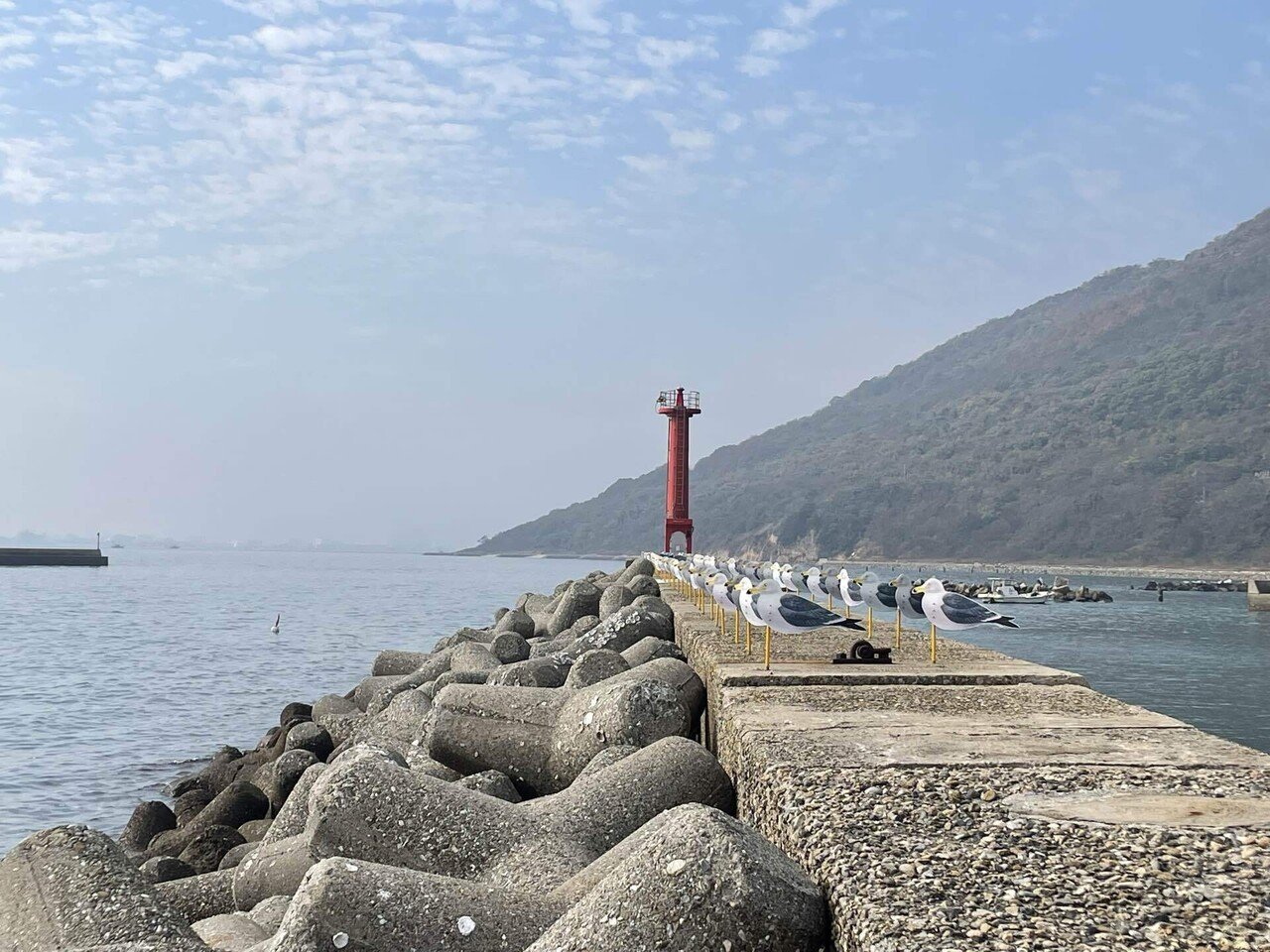 女木島で学ぶ桃太郎の元ネタ｜天野夏海