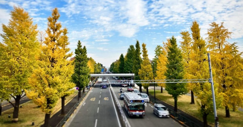 呑川緑道を辿って緑ヶ丘駅から駒沢公園へ。紅葉を見つつの10ｋｍラン。