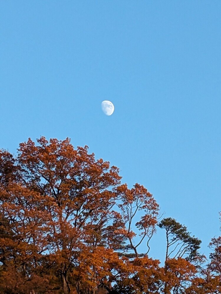 急に思い立って、彌彦神社⛩️に向かった。今16:30。空には月が。