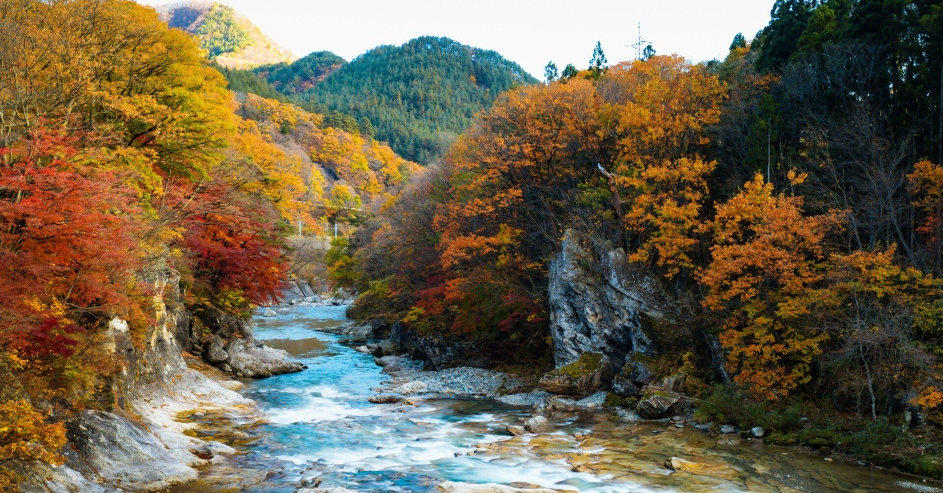 cf2799e0b94aece69a70ef736d2443